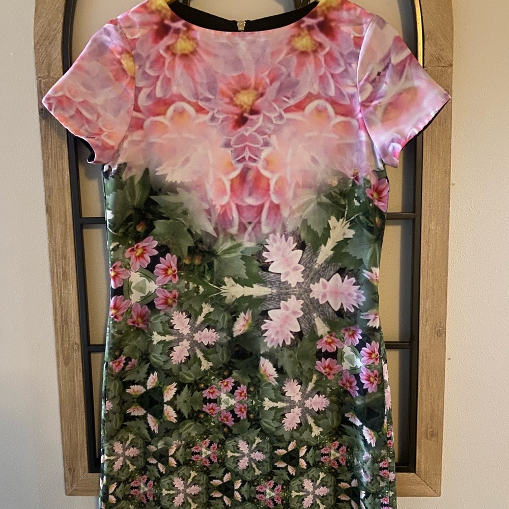 Ted Baker Floral Short Sleeve Shift Mini Eoessa Dress Size XS 0 Pink Green EUC